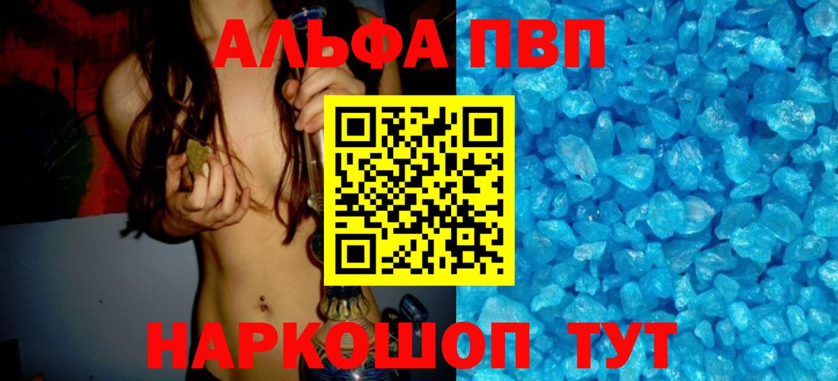 Альфа ПВП СК Нижневартовск