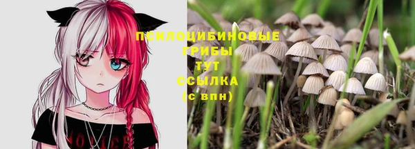 герыч Нефтекумск