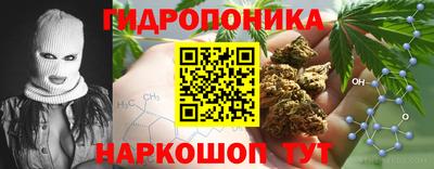 ГАЛЛЮЦИНОГЕННЫЕ ГРИБЫ Донской