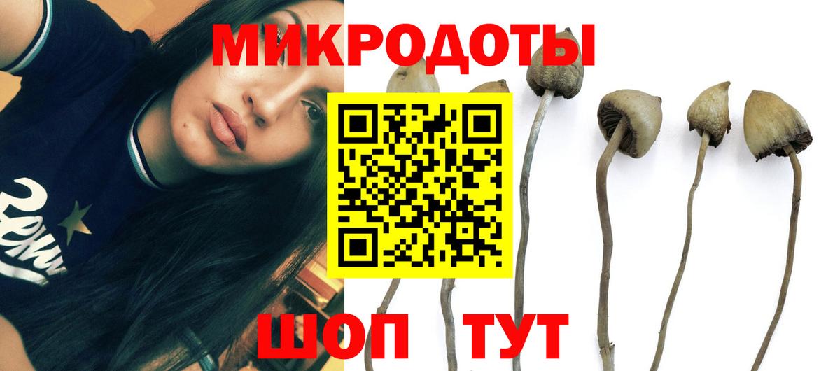 Псилоцибиновые грибы Cubensis  Псилоцибиновые грибы Psilocybine cubensis  Вход с VPN  Нижневартовск 